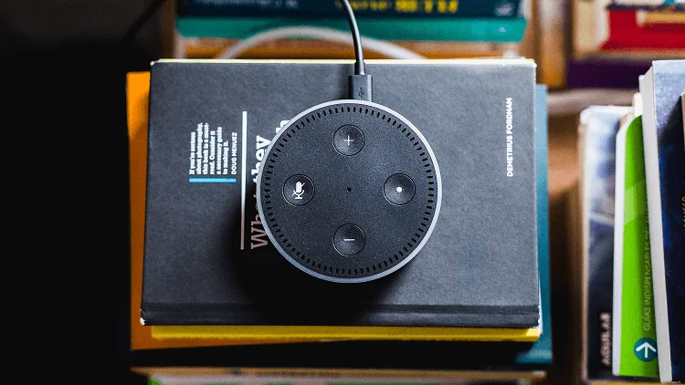 echo-dot