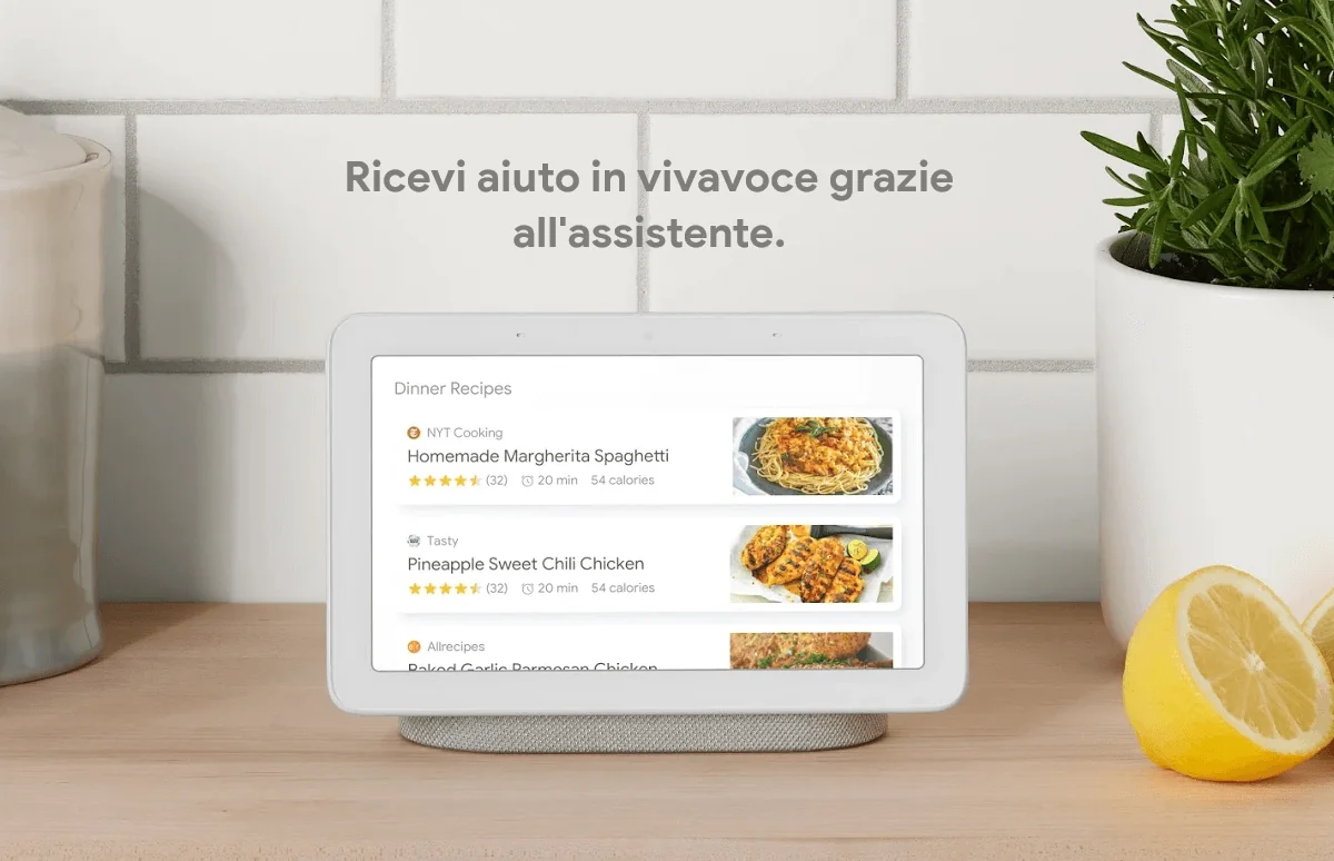 nest-hub
