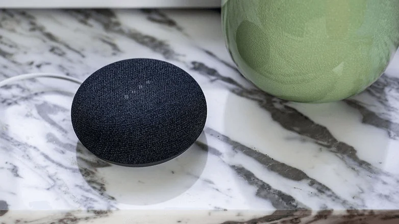 descrizione-nest-mini