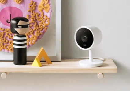 Nestcam