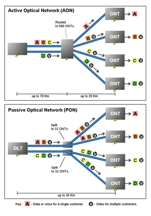 PON vs. AON
