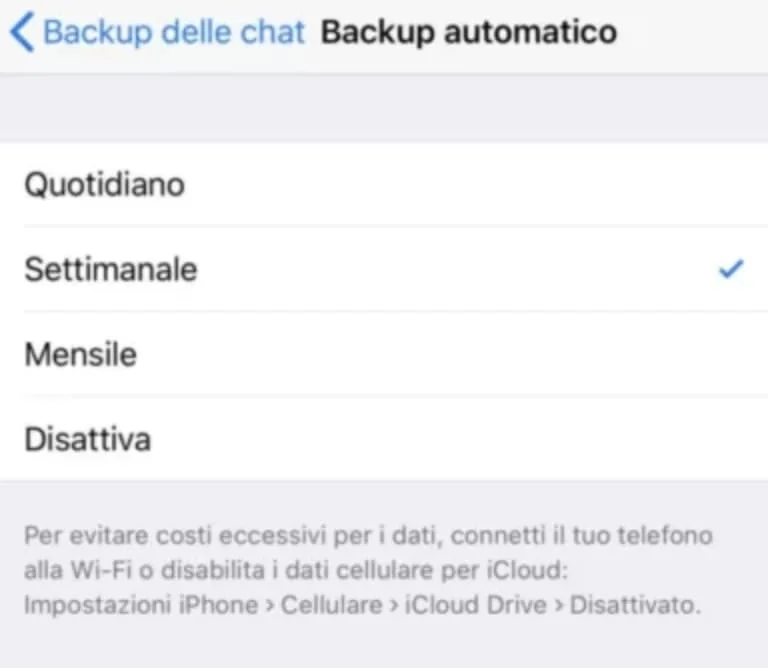 Frequenza backup di WhatsApp su iOS